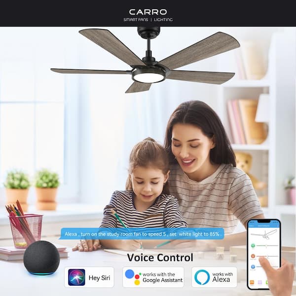 Wilkes 52 in. Dimmable LED Indoor/Outdoor Black Smart Ceiling Fan with Light and Remote, Works with Alexa/Google Home