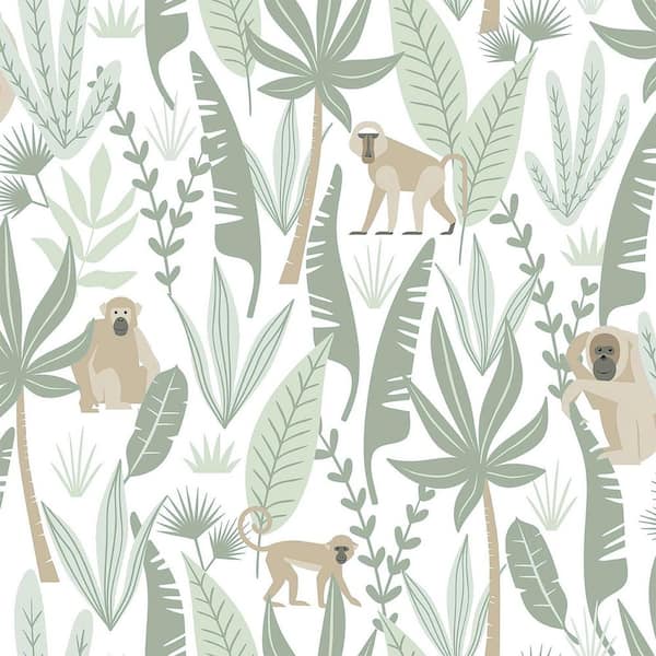 Chesapeake Green Kiki Monkeys Matte Non-Pasted Wallpaper Sample