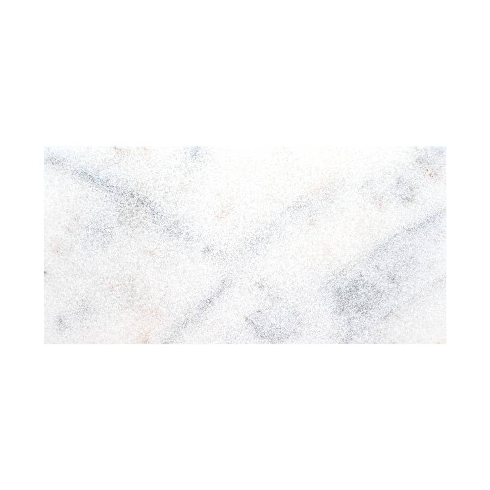 Take Home Tile Sample-Sierra White 1.18 in. x 4 in. x 4 in. Sandblast Marble Paver Tile Kit price history on PriceWatchPro