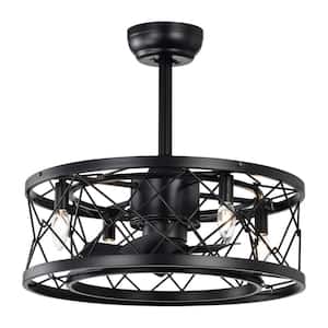 Light Pro 20.47 in. Indoor Matte Black Ceiling Fan Caged Ceiling Fan with Lights and Remote