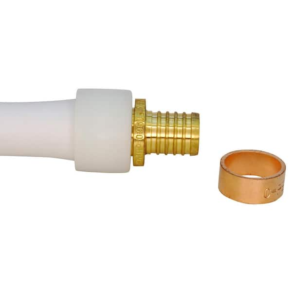 Apollo 1/2 in. Brass PEX-A Barb x Polybutylene Coupling EPXBC1212