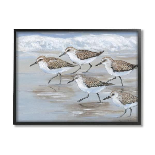 The Stupell Home Decor Collection Sandpiper Bird Flock Marching Beach Coast Waves by Tim OToole Framed Animal Art Print 20 in. x 16 in.