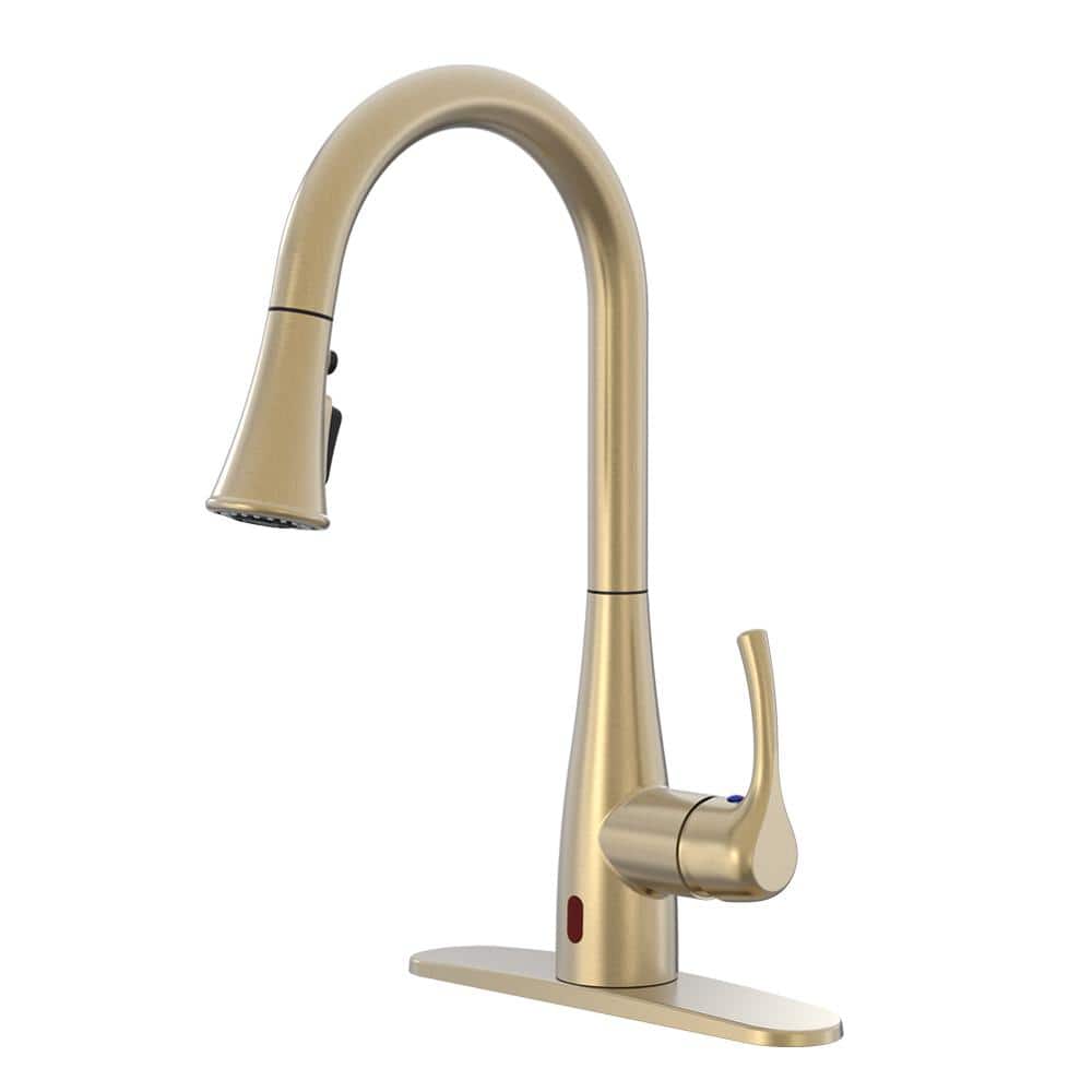 Glacier Bay Marcie SingleHandle Integrated Pull Down Touchless Kitchen
