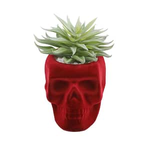 5.125 in. H Fake Succulent in Burgundy Flocked Skull Ceramic