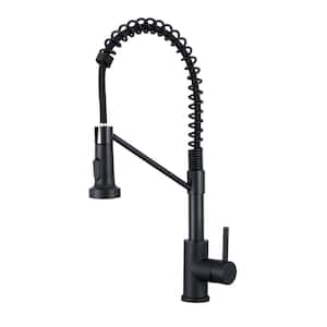 Single Handle Pull-Down Sprayer Kitchen Faucet in Matte Black