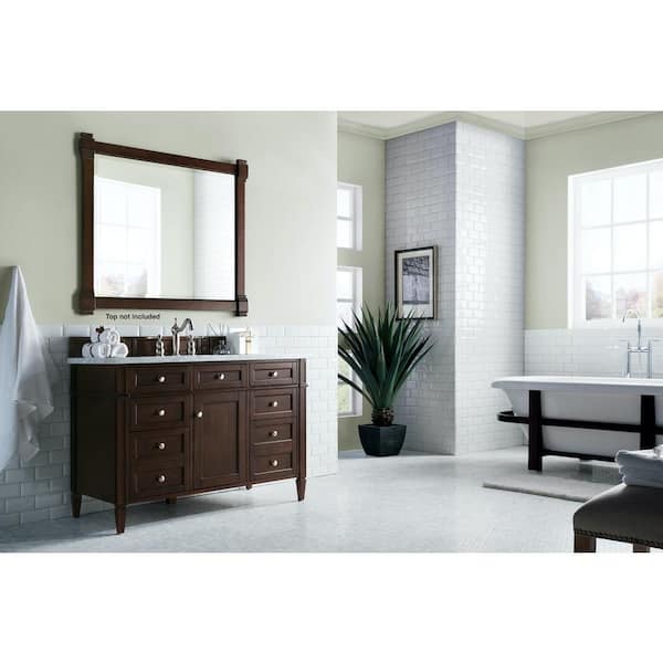 Brittany 47 in. W x 23 in.D x 32.8 in. H Single Vanity Cabinet Without Top in Burnished Mahogany