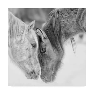 Burchett 'Black and White Horses Via' Canvas Unframed Photography Wall Art 35 in. x 35 in
