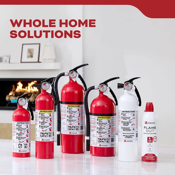 Kidde Home 1-A:10-B:C Class ABC 2.5 lb. Fire Extinguisher, FA110G