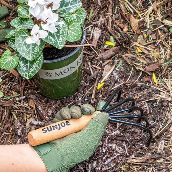 Garden Tools Hand Cultivator Handheld Triple Claw Hand Rake with Woode –  BerryandBird