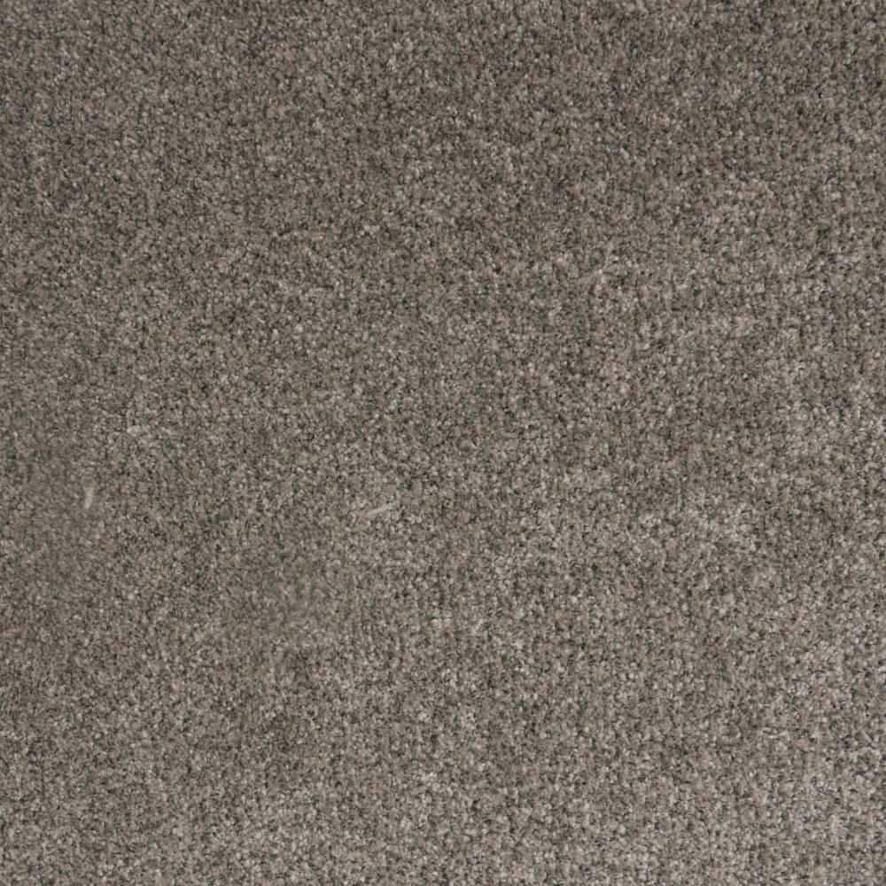 8 in. x 8 in. Texture Carpet Sample-Lurelin-Color Royal price history on PriceWatchPro
