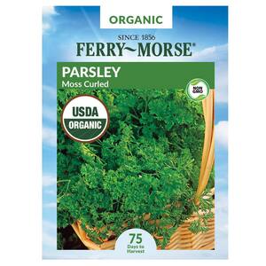 Organic Parsley Moss Curled Herb Seed