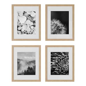 11" x 14" Matted to 8" x 10" Ash Gallery Wall Picture Frames (Set of 4)