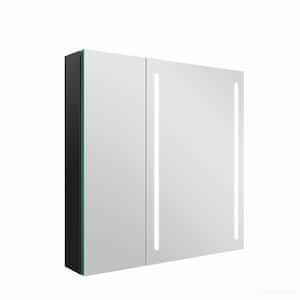 Moray 30 in. W x 30 in. H Rectangular Aluminum Surface Mount Medicine Cabinet with Mirror and LED Light in Black