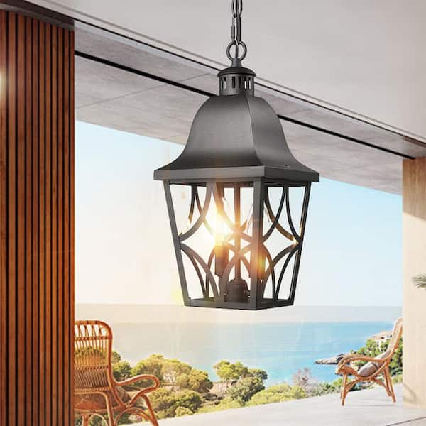 18.25 in. 2-Light Matte Black Outdoor Hanging Light Pendant Light with Clear Glass and Adjustable Chain
