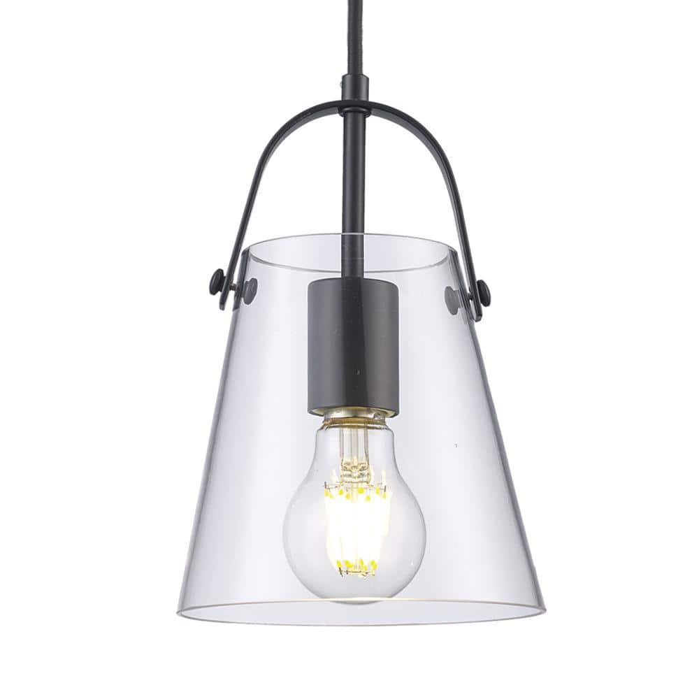 Curry Black Mini Pendant Light with Clear Glass Shade