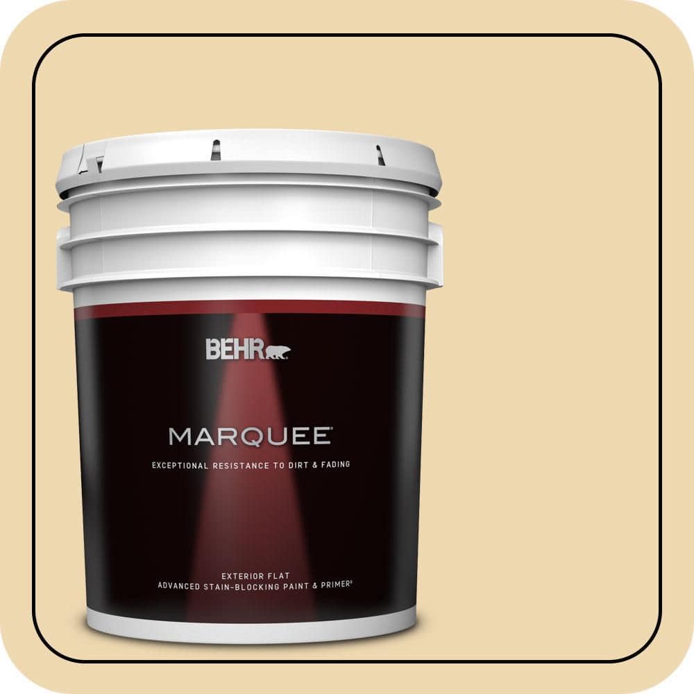 5 gal. #PPU6-11 Hummus Flat Exterior Paint & Primer price history on PriceWatchPro