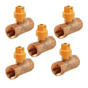 1 in. FIP Brass Gas Ball Valve with Screwdriver Slotted Handle (Pack of 5)