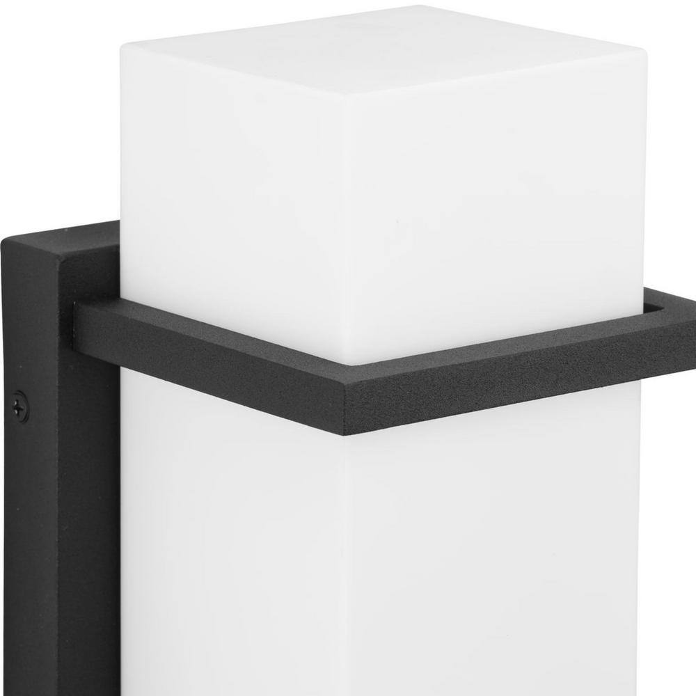 Black Modern Medium Outdoor Wall Lantern with Acrylic Shade