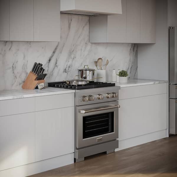 Paramount 30 in. 4-Burner Dual Fuel Range with Convection Oven in Stainless Steel