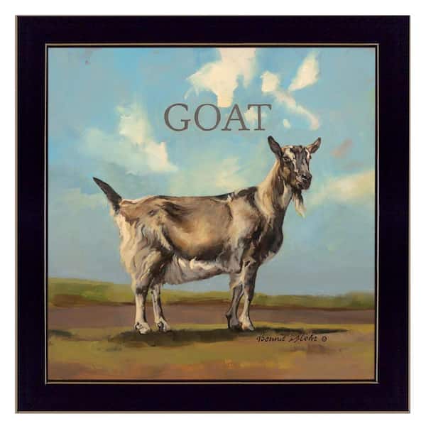 HomeRoots Charlie Gracey the Goat 1-Piece Framed Wall Art 14 in. x 14 in.