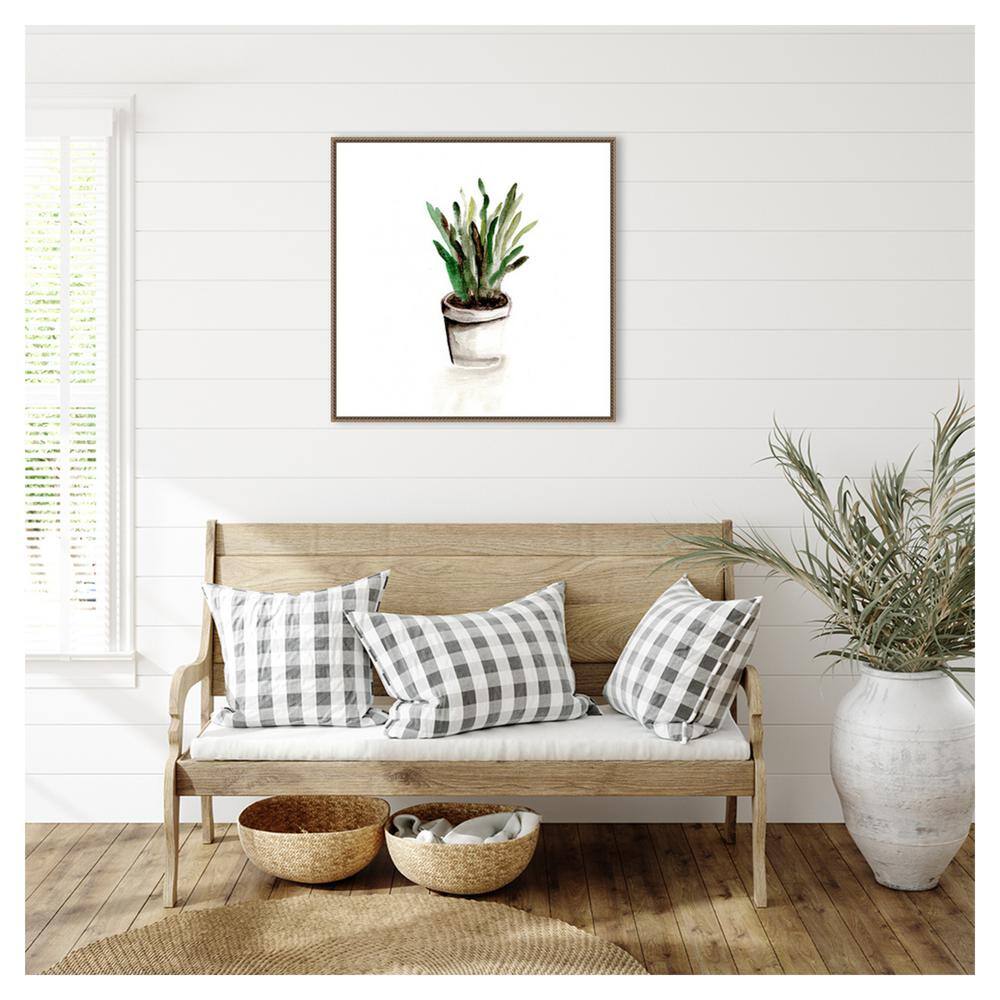 Amanti Art 30"x30" Potted Botanicals III by Marcy Chapman Framed Canvas Wall Art Print