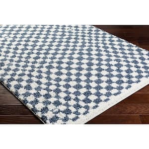 Birmingham Blue 5 ft. x 7 ft. Checkered Indoor Area Rug