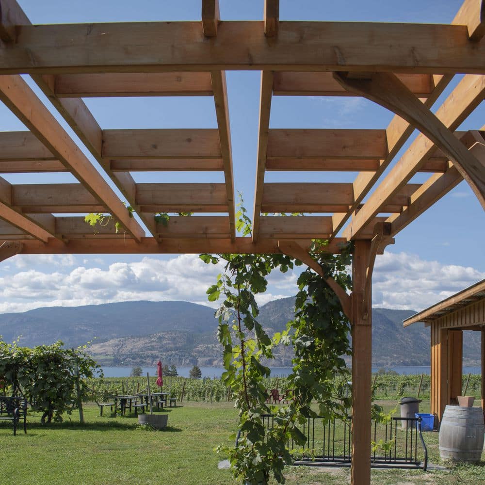 Western Red Cedar 8x10 ft. Rustic Outdoor Pergola