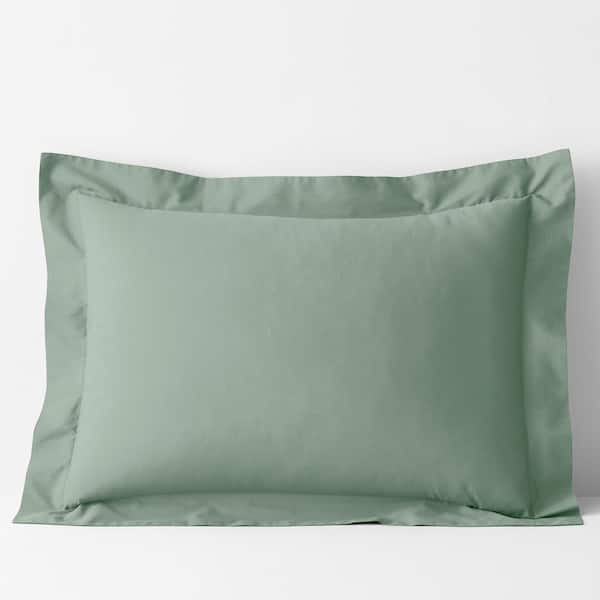 Company Cotton Thyme Cotton Percale Standard Sham