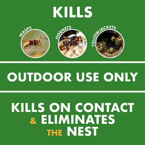18.5 oz. Wasp and Hornet Killer Aerosol Spray (Insect Killer) (4-Count)