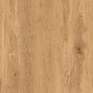 Golden Wheat Oak 20 MIL x 9 in. W x 60 in. L Click Lock Waterproof Luxury Vinyl Plank Flooring (22.4 sq. ft./case)