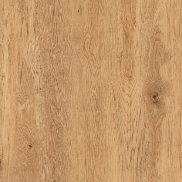 Golden Wheat Oak 20 MIL x 9 in. W x 60 in. L Click Lock Waterproof Luxury Vinyl Plank Flooring (22.4 sq. ft. /case)