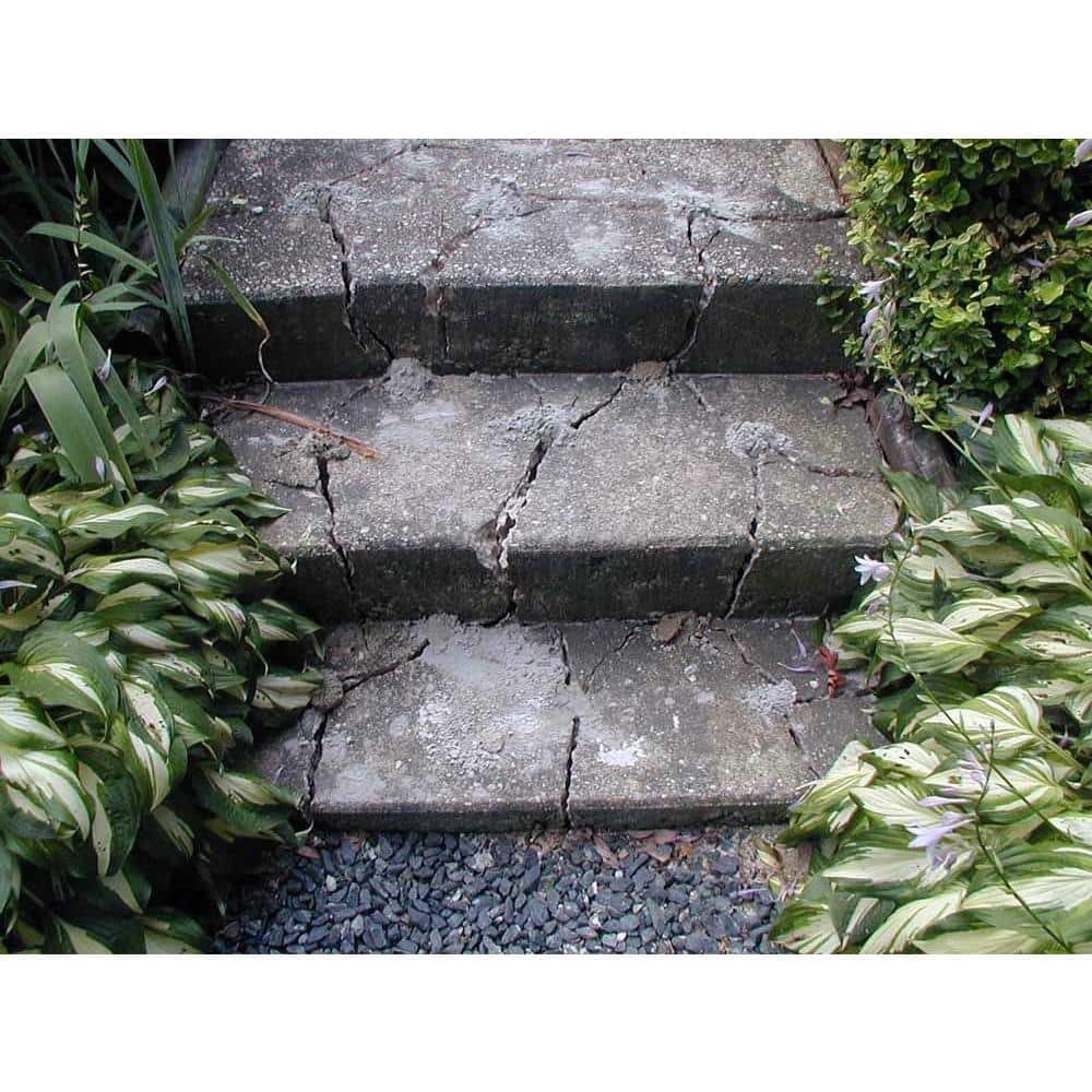 Dexpan 11 Lb. Expansive Demolition Grout for Concrete and Rock Breaking