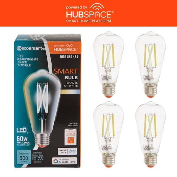 60-Watt Equivalent Smart ST19 Tunable White Clear CEC LED Light Bulb with Voice Control Powered by Hubspace (4-Pack)