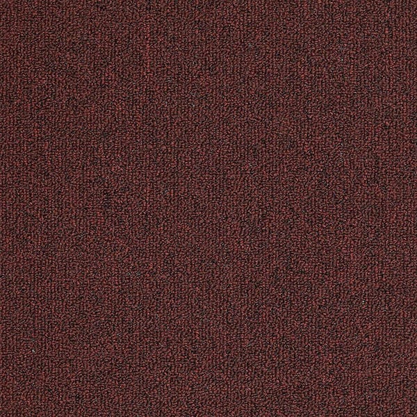 TrafficMaster 8 in. x 8 in. Berber Carpet Sample - Soma Lake - Color Blossom