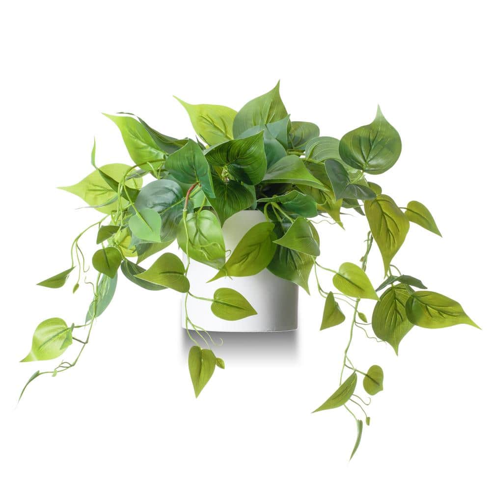 Elegant Potted White Pothos Ivy, 13in Plastic Outdoor Plant