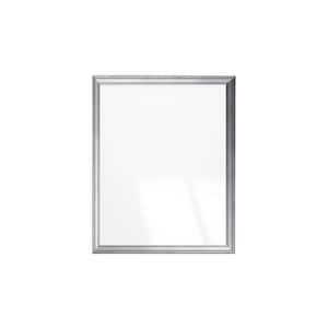 BrandtWorks 30-in W x 48-in H Silver Framed Wall Mirror in the