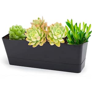 12 in. x 3.8 in. Herb Planters, 1-Pack Rectangle Window Boxes with Tray, Indoor Succulent Cactus Mint Plastic box
