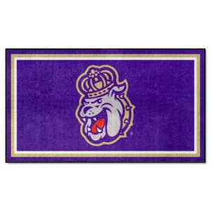 FANMATS Minnesota Vikings Purple 4 ft. x 6 ft. Plush Area Rug 38303 - The  Home Depot