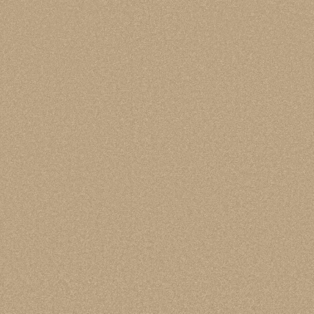8 in. x 8 in. Texture Carpet Sample-Park Royal II-Color Pebble price history on PriceWatchPro