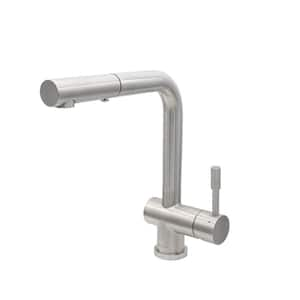 Nassau 1-Handle Pull Out Sprayer Kitchen Faucet (With Spray Feature) in Brushed Stainless