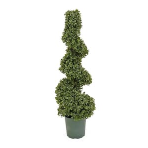 44 in. Artificial Floral Arrangements Boxwood Spiral Topiary with Weighted Nursery Pot