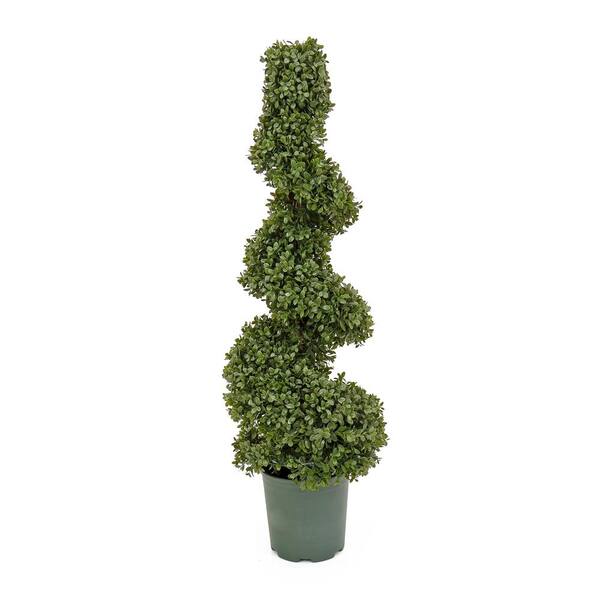National Tree Company 44 in. Artificial Floral Arrangements Boxwood