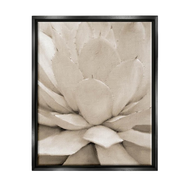 The Stupell Home Decor Collection Prickly Agave Plant Monochromatic Desert Succulent" by Kim Allen Floater Frame Nature Wall Art Print 25 in. x 31 in.