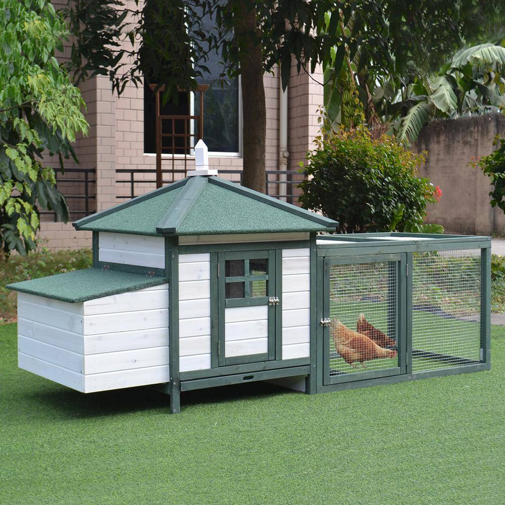 Green and White Wooden Chicken Coop with Nesting Box and Run