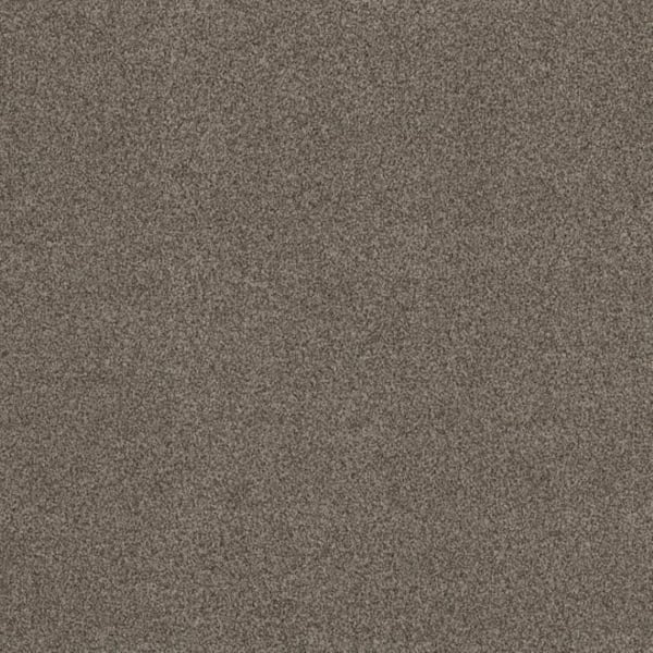 Lifeproof 8 in. x 8 in. Texture Carpet Sample - Urban Artifact II - Color Cement