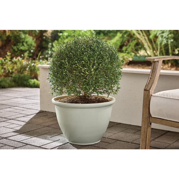 18 in. Giselle Cream Decorative Plastic Planter ( 18 in. D x 12 in. H) with Drainage Hole