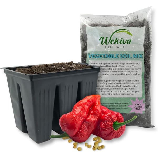 Wekiva Foliage Red Ghost Pepper Seed Starter Kit-Pepper Seeds Liner Tray and Half Quart Vegetable Soil Mix-Grow Your Own Vegetables