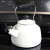 Vintage 6.8-Cups Enamel-on-Steel Ombre Fade Grey Tea Kettle 37-LAKE-OM FG -  The Home Depot