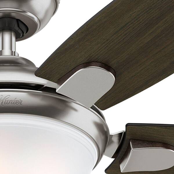 Hunter Contempo Ceiling Fan Installation Shelly Lighting