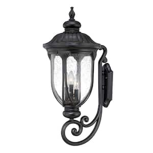 Acclaim Lighting Laurens Collection 1-Light Matte Black Outdoor Wall ...